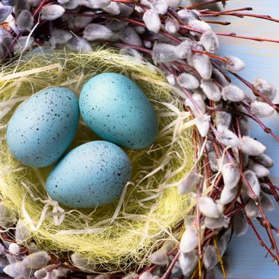 Ημερήσιες Προβλέψεις για όλα τα Ζώδια 30/04