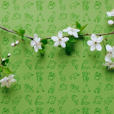 Εβδομαδιαίες προβλέψεις από 09/05 έως 15/05: Ξέχνα τα παλιά και γύρνα σελίδα!