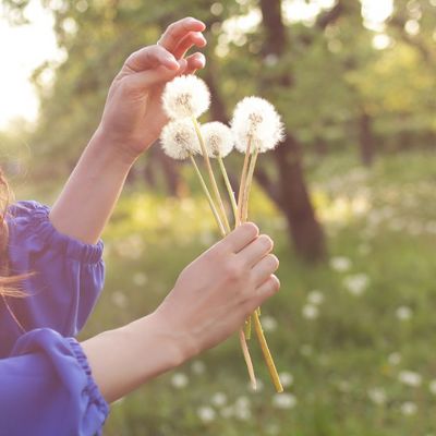Ημερήσιες Προβλέψεις για όλα τα Ζώδια 12/05