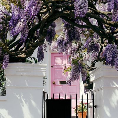 Ημερήσιες Προβλέψεις για όλα τα Ζώδια 13/05