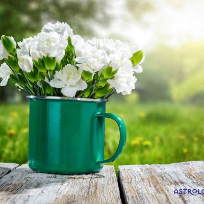 Ημερήσιες Προβλέψεις για όλα τα Ζώδια 15/05