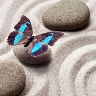 Σήμερα 23/05: Σε αρμονικό κλίμα