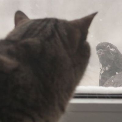 Σήμερα 24/05: Συνδυασμός ενστίκτου και ισχυρής θέλησης