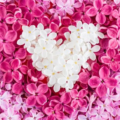 Προβλέψεις για τα αισθηματικά του ζωδίου σου, σήμερα 17/05