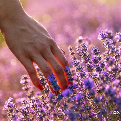 Ημερήσιες Προβλέψεις για όλα τα Ζώδια 20/05