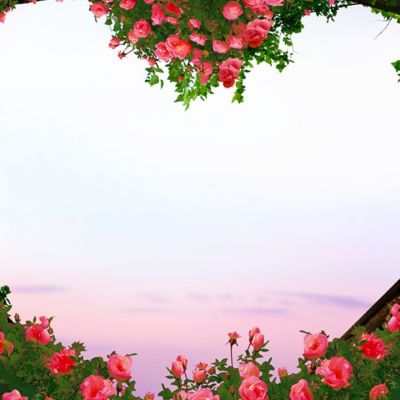 Εβδομαδιαίες Αισθηματικές προβλέψεις 24/05 έως 30/05: Στο τέλος ξυρίζουν τον γαμπρό!