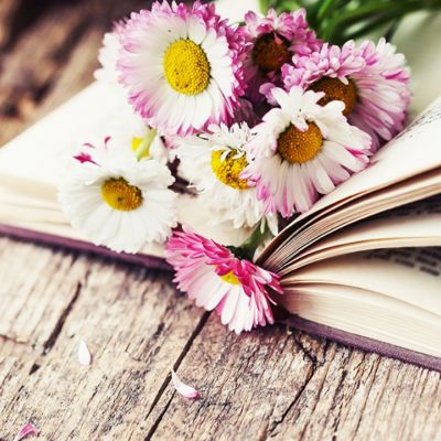 Ημερήσιες Προβλέψεις για όλα τα Ζώδια 27/05