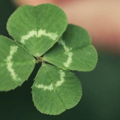 Σήμερα 03/06/21: Προσπάθησε κι η τύχη θα είναι με το μέρος σου