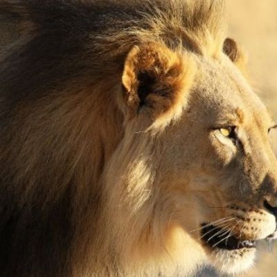 Σήμερα 11/06: Άρης στον Λέοντα - Επίδειξη δύναμης