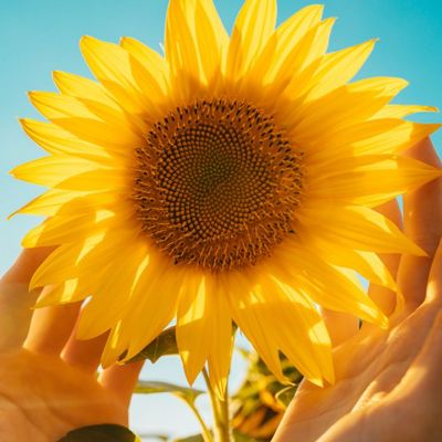 Ημερήσιες Προβλέψεις για όλα τα Ζώδια 28/06