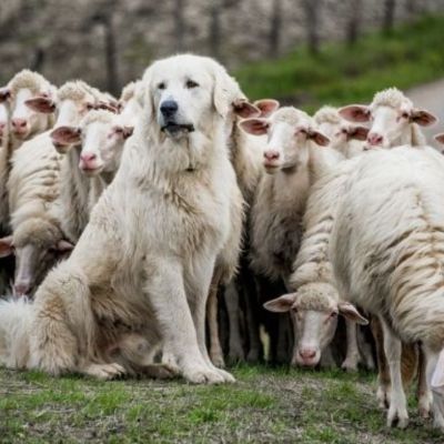 Σήμερα 06/07: Ο φόβος φυλάει τα έρημα…