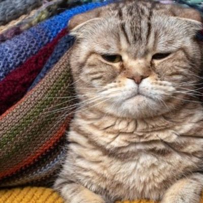 Σήμερα 18/07: Καμία ικανοποίηση