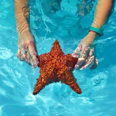 Ημερήσιες Προβλέψεις για όλα τα Ζώδια 11/07