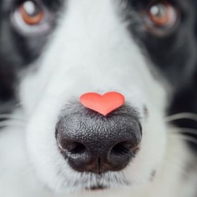 Τα 3 ζώδια που δεν μπορούν να αρνηθούν κανένα χατίρι!