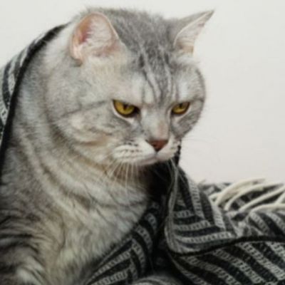 Εσείς ψηφίσατε τα πιο αχάριστα ζώδια