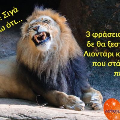 3 φράσεις που δε θα ακούσεις ποτέ να λέει ένας Λέοντας και 3 ακόμα που σίγουρα θα ξεστομίσει!