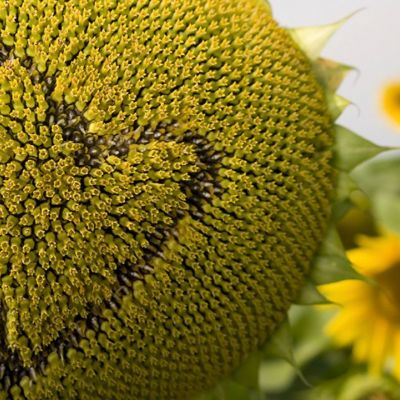 Προβλέψεις για τα αισθηματικά του ζωδίου σου, σήμερα 15/07