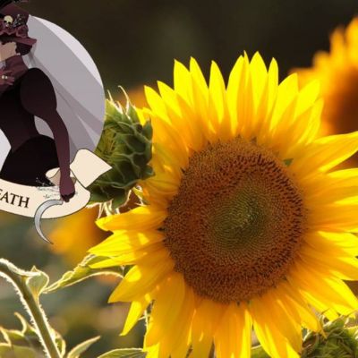 Προβλέψεις Ταρώ Aυγούστου 2021: Το τέλος της ταλαιπωρίας