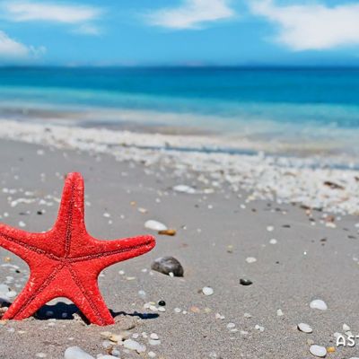 Ημερήσιες Προβλέψεις για όλα τα Ζώδια, 01/08