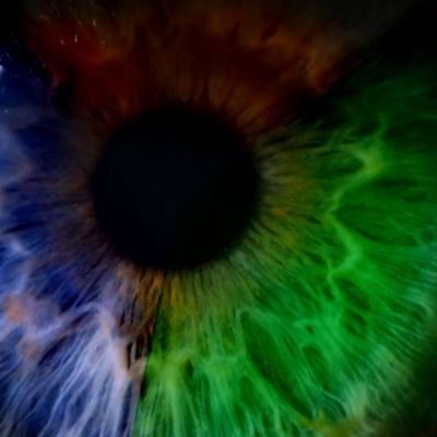 10 στοιχεία που σε κατατάσσουν στους πιο σπάνιους ανθρώπους