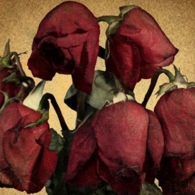 5+1 άντρες του ζωδιακού που θα κάνουν την καρδιά σου χίλια κομμάτια!