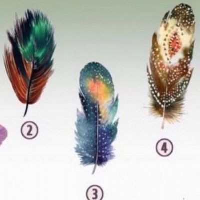 Το κάθε φτερό αποκαλύπτει μια κρυφή δύναμη! Μάθε τη δική σου!