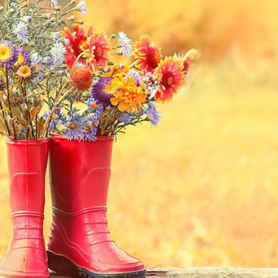 Ημερήσιες Προβλέψεις για όλα τα Ζώδια, 08/09