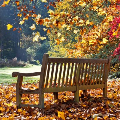 Ημερήσιες Προβλέψεις για όλα τα Ζώδια, 13/09
