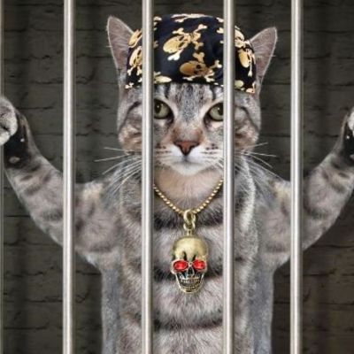 Εσείς ψηφίσατε τα ζώδια που παραβαίνουν κάθε νόμο και δεν συμμορφώνονται με τίποτα