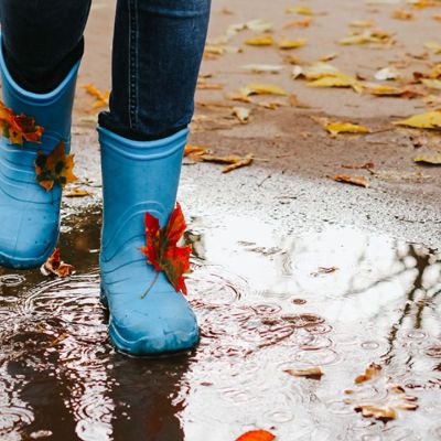 Ημερήσιες Προβλέψεις για όλα τα Ζώδια, 16/09