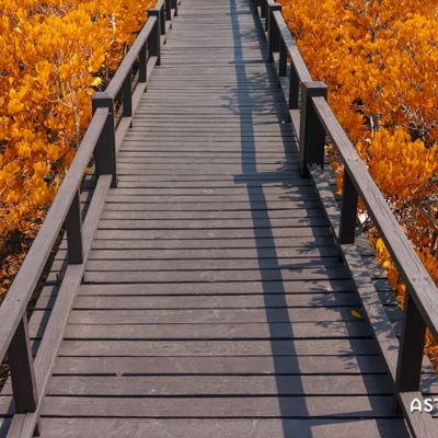 Ημερήσιες Προβλέψεις για όλα τα Ζώδια, 20/09