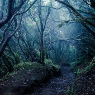 Δεσμοί της Σελήνης στους Οίκους: Ένα καρμικό μονοπάτι που καλείσαι να το βαδίσεις