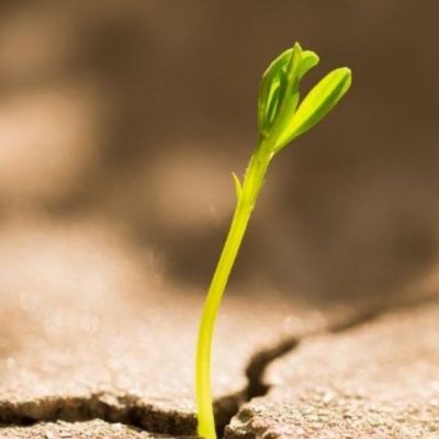 Σήμερα 24/09: Με θέληση και επιμονή