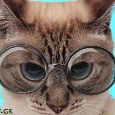 Έτσι θα καταλάβεις ότι ένα ζώδιο τα έχει πάρει μαζί σου!