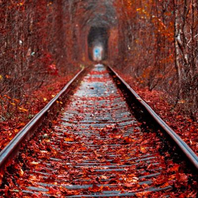 Ημερήσιες Προβλέψεις για όλα τα Ζώδια, 29/09