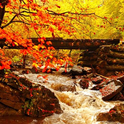 Τι λένε τα άστρα για τον Οκτώβριο 2021;