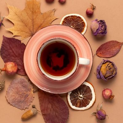 Ημερήσιες Προβλέψεις για όλα τα Ζώδια, 07/10