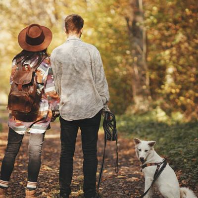 Προβλέψεις για τα αισθηματικά του ζωδίου σου, σήμερα 08/10