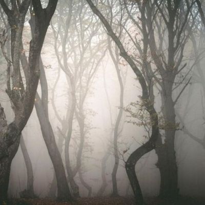 10 στοιχειωμένα δάση σε όλο τον κόσμο - Θα σε κάνουν να ανατριχιάσεις!