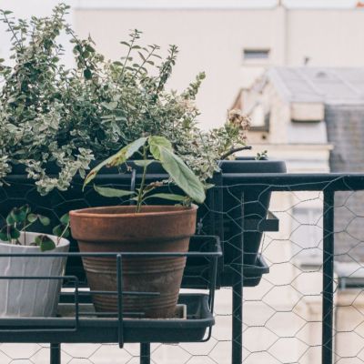 Δεν έχεις ψησταριά; Το κόλπο με τις 2 γλάστρες για το τέλειο τσίκνισμα