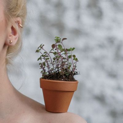 Το κόλπο για να ανθίσουν τα φυτά πιο γρήγορα είναι μόνο ένα