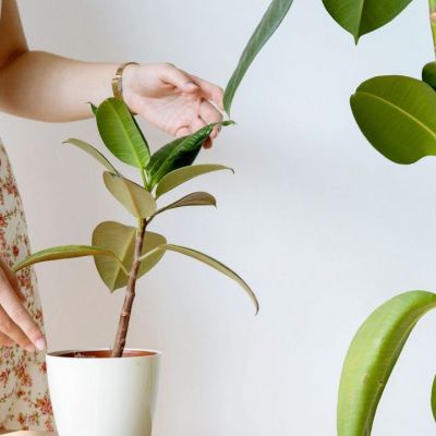 Πώς θα κάνεις δροσερό το σπίτι με 6 μυστικά διακόσμησης