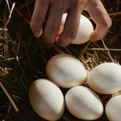 Αυτό είναι το μυστικό για να ξεφλουδίσεις γρήγορα ένα αυγό