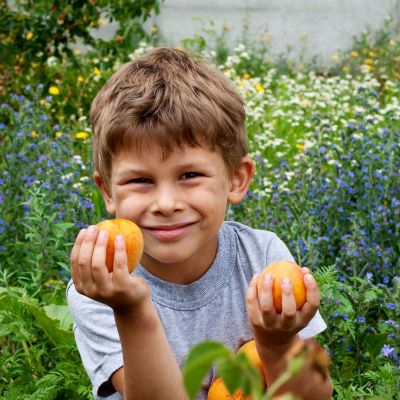 Φρούτα του καλοκαιριού: Ποια είναι η διατροφική τους αξία;