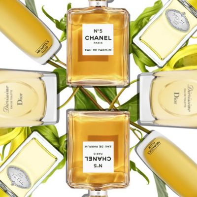 Υλάνγκ-Υλάνγκ: Κάποτε ήταν «το γιασεμί του φτωχού» - τώρα είναι μία από τις πιο ακριβές νότες