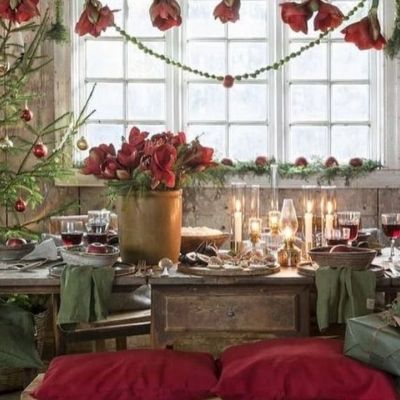 10 χριστουγεννιάτικα φυτά για δώρο στις επισκέψεις των γιορτών