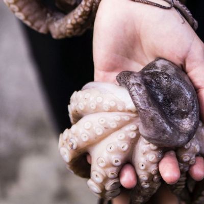 Ξύδι: Το μυστικό που έψαχνες για να γίνει μαλακό το χταπόδι