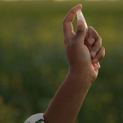 Υπάρχει η λύση στα κουνούπια και βρίσκεται στον κήπο και στο ντουλάπι της κουζίνας σου