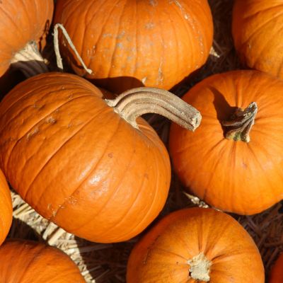 6 οφέλη από την κατανάλωση κολοκύθας