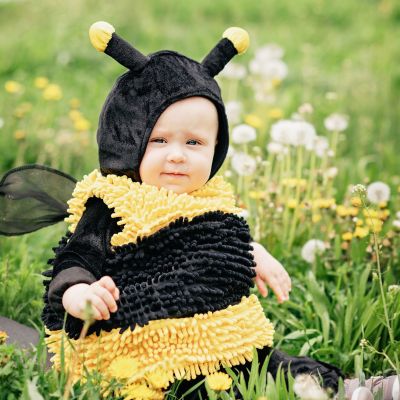 Παγκόσμια Ημέρα μέλισσας: Μαθαίνοντας για την ιστορία και τη σημασία της